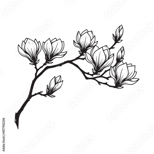 A minimalist white background graphic with text indicating it is a vector file format