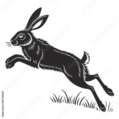 Leaping hare illustration