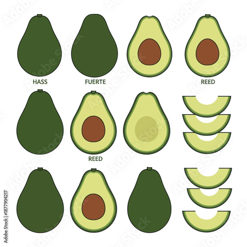 Assorted Avocado Varieties and Slices.