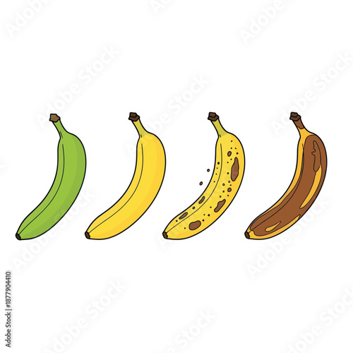 Bananas in Different Stages of Ripeness.
