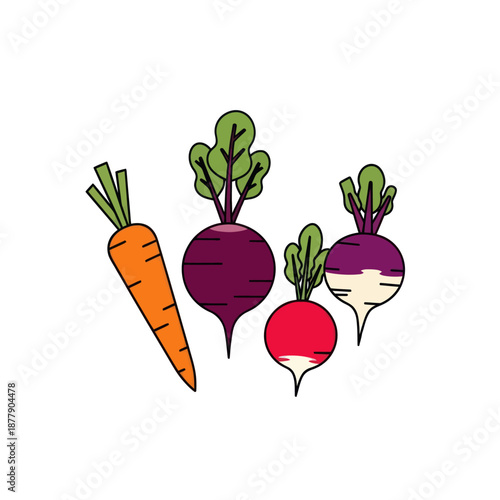 Colorful Carrot and Beetroot Illustration.