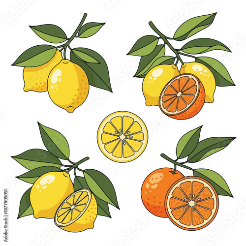 Lemons and Oranges with Leaves Illustration.