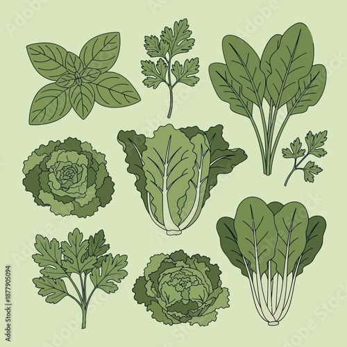 Various Leafy Green Herbs and Vegetables.