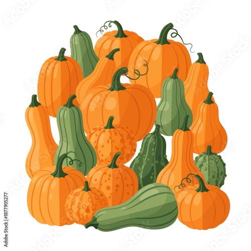 Assorted Pumpkins and Gourds in Vibrant Orange Green.