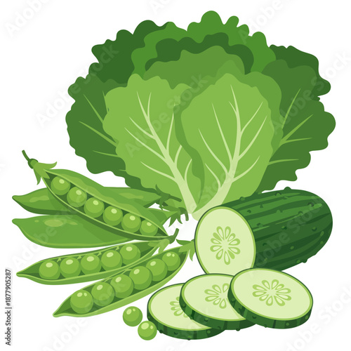Fresh Green Vegetables and Cucumber Slices.