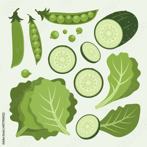 Cucumber Peas and Leaves Illustration.