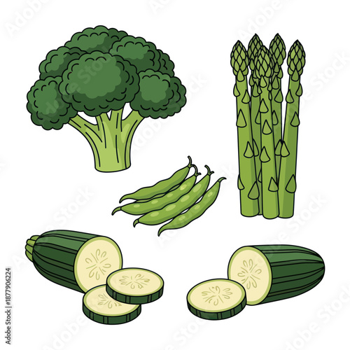 Broccoli Asparagus Green Beans Zucchini Vegetables.