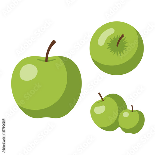 Green Apples with Stems and Cross Section.