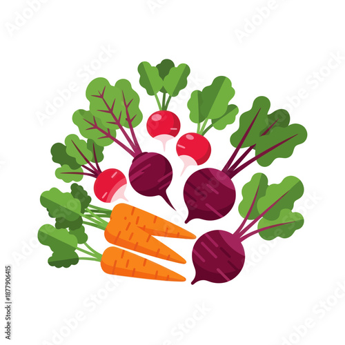 Beetroot Radish Carrot Vegetables Fresh Produce.