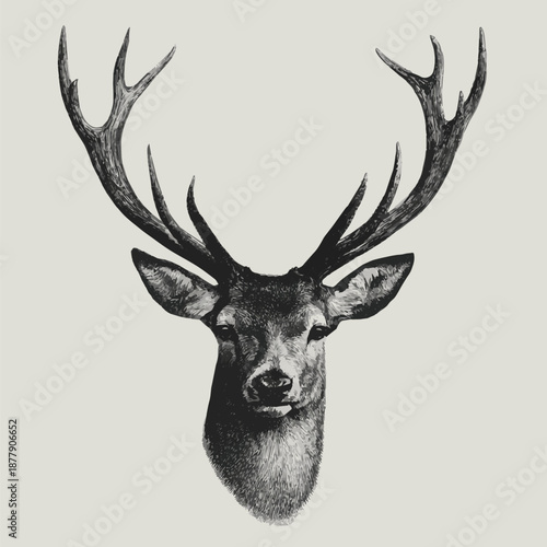 Created A stylized black and white illustration of a deer head with large antlers on a light background