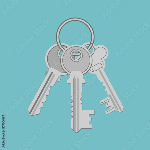 Set of Keys on Keyring.