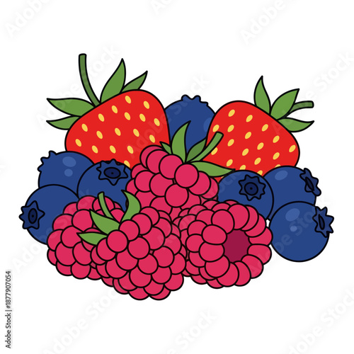 Colorful Raspberries and Mixed Berries Illustration.