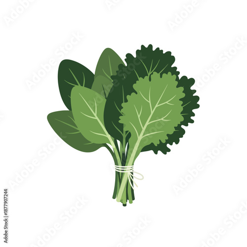 Bunch of Fresh Green Leafy Kale.