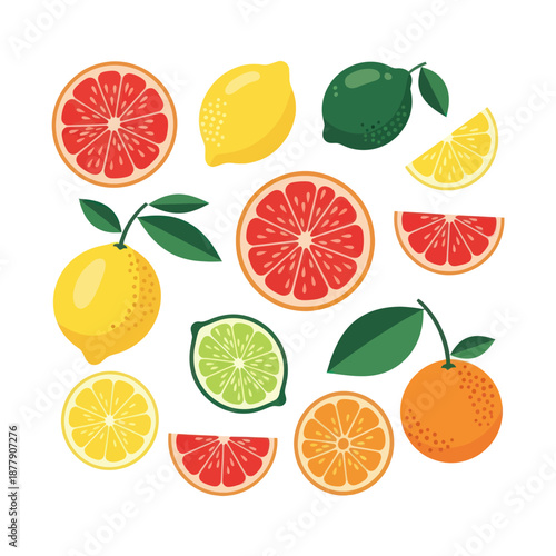 Assorted Citrus Fruits and Slices Collection.
