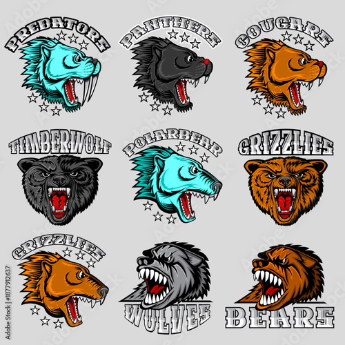 Aggressive Animals Mascot Set for Sports Teams. Vector illustration of team symbols Wolf, bear, polar bear, cougar, panther, timberwolf, grizzly