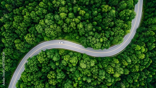 Winding road through a lush green forest captured from an aerial perspective with a solitary car