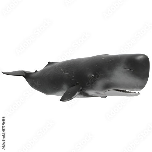 Sperm whale swimming in deep ocean