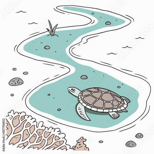 Turtle swimming in winding light blue waterway with coral and seaweed