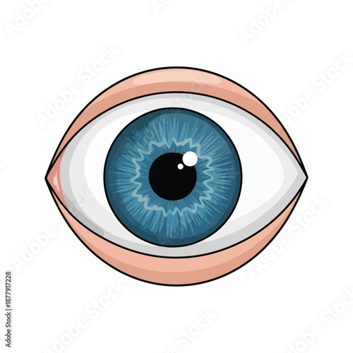 A detailed illustration of a blue human eye with a white background.