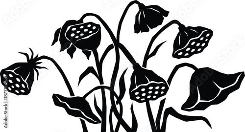Botanical seed pod silhouette with stems and leaves, lotus seed head floral illustration for decals, cut files, prints, crafts, and decorative projects