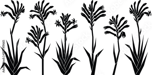 Geometric botanical flower silhouettes with angular leaves and tall stems, desert plant vector illustration for decals, laser cutting, stickers, wall art, design