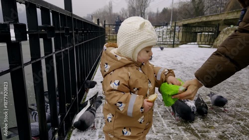 Child in a brown winter coat interacts with pigeons by a fence, receiving green food from an adult, showcasing playful engagement with birds in a snowy outdoor setting