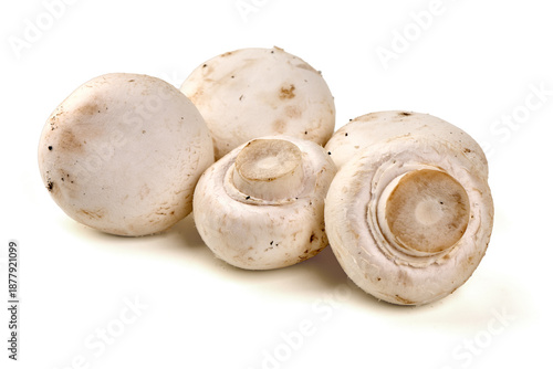 Agaricus bisporus Mushrooms, isolated on white background