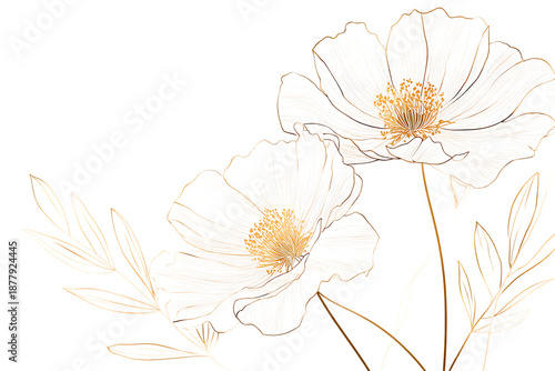 Elegant white and gold floral design element