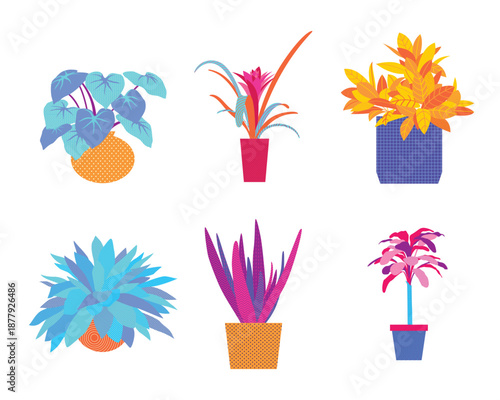Modern colorful potted plant set. Vector bright neon blue and pink house plants for interior design decoration isolated on white