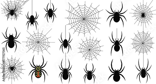 spider and web designs in silhouette and color, representing arachnid diversity, Halloween themes, and creative elements for biology, design, and storytelling