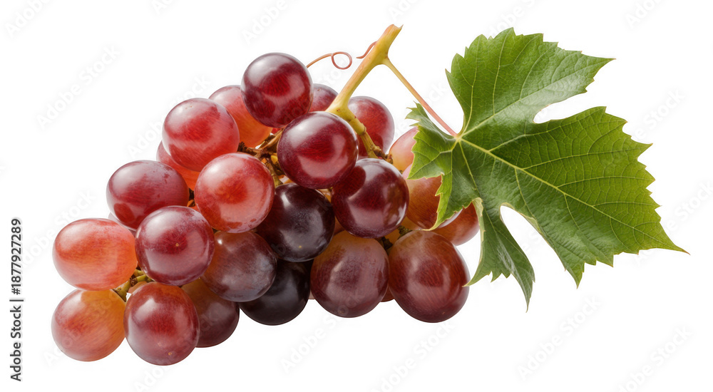 Fototapeta premium Bunch of red grapes purple leaf isolated on a transparent background