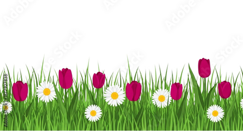 spring flowers and grass