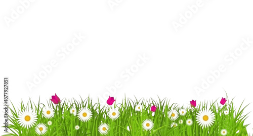 green grass with flowers