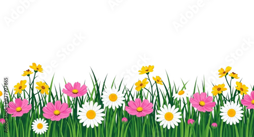 spring flowers in grass
