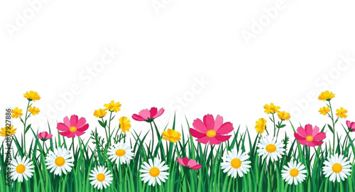 spring flower border