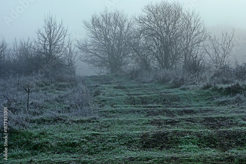 Frosty cascade hill