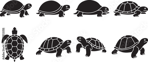 Collection of black turtle silhouettes in various poses on a white background