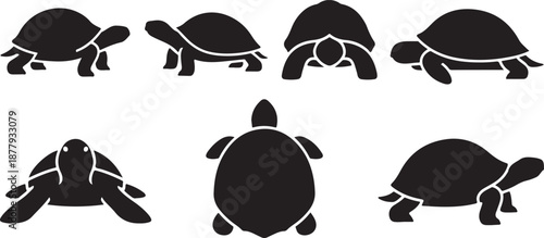 Collection of silhouetted tortoises in various poses