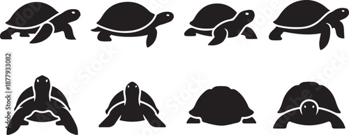Collection of tortoise silhouettes in various poses