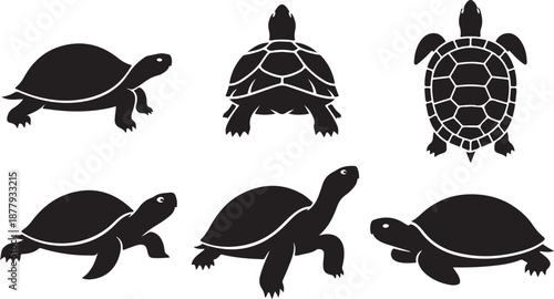 Collection of silhouetted tortoises in various poses