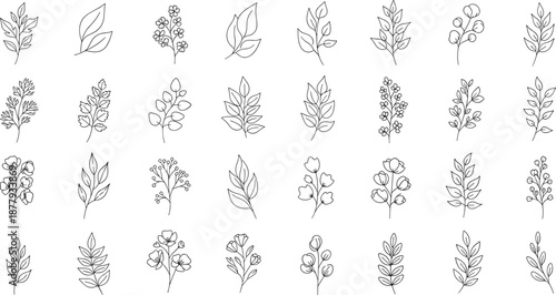 Hand-drawn botanical vector illustration, minimalist floral elements, monochrome plant sketches, decorative leaves and flowers, vintage nature artwork for design inspiration, stock graphics