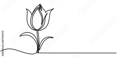 Tulip flower continuous one line drawing. Flower sign in one line style. outline vector illustration. 
