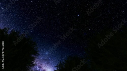 Starry night sky nature bg 4k