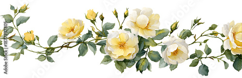 Watercolor yellow rose vine floral illustration