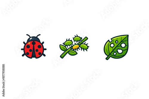 Ladybug, aphids on plant stem, and damaged leaf icons