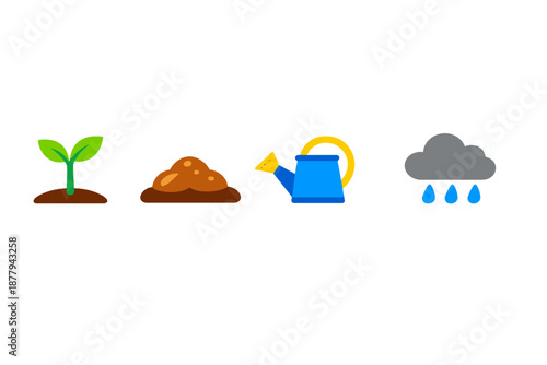Plant growth process with sun, water and soil elements