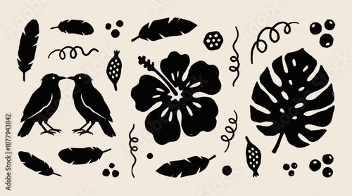 Tropical birds and botanical elements collection vector illustration