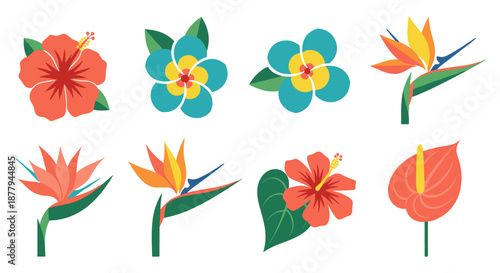 A vibrant collection of tropical floral illustrations, showcasing various exotic blossoms and leaves in a flat design style, perfect for summer-themed projects.