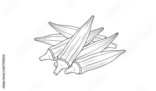 Minimalist okra pods vector outline for food, cooking, and healthy eating illustrations