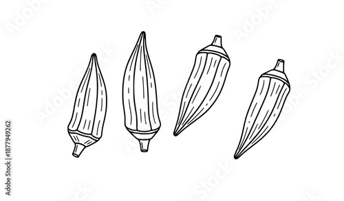 Flat okra pods line art vector illustration isolated for farm, food, and nutrition graphics